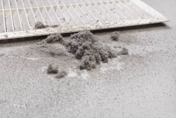 Best Home Air Vent Cleaning  in Cheat Lake, WV