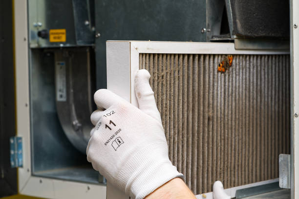 Best Air Duct Mold Removal  in Cheat Lake, WV